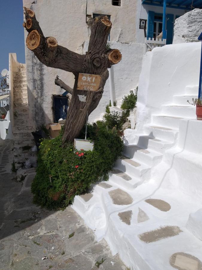 Nikolas Rooms And Appartments Mykonos Town Luaran gambar